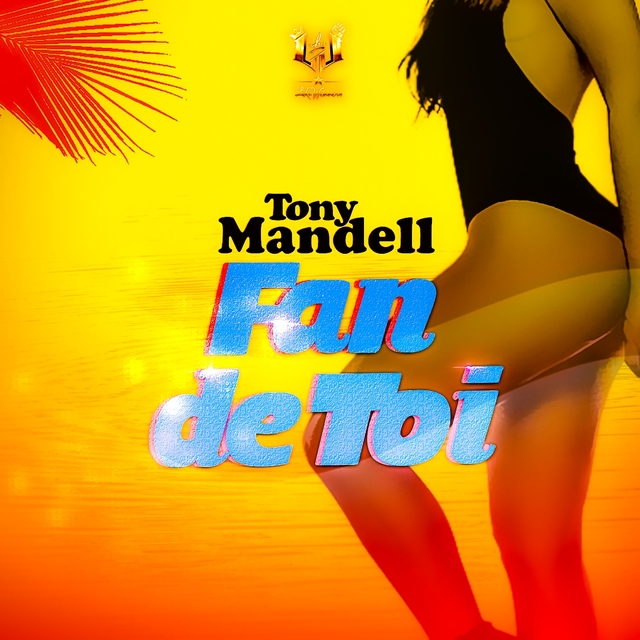 Couverture de Fan de toi