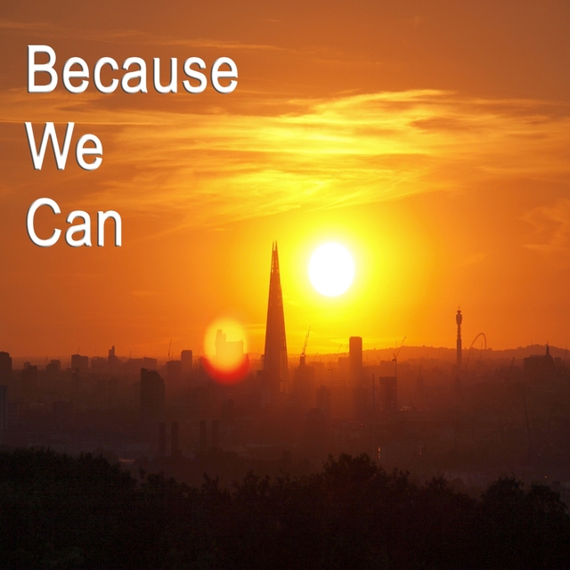 Couverture de Because We Can