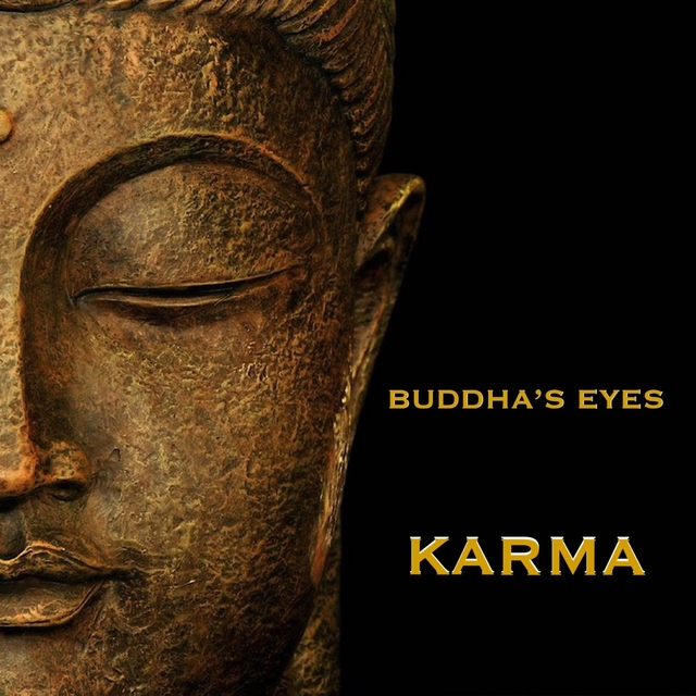 Couverture de Karma