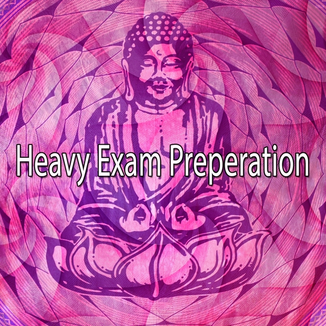 Couverture de Heavy Exam Preperation