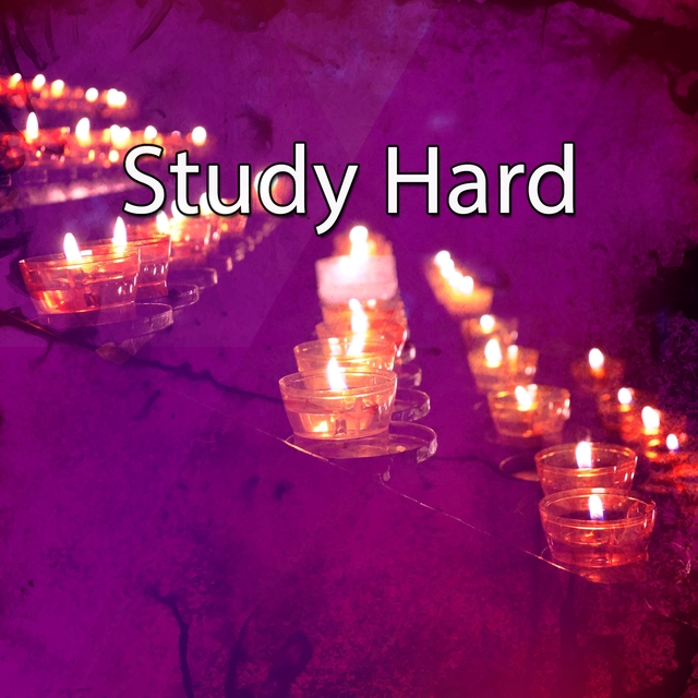 Study Hard