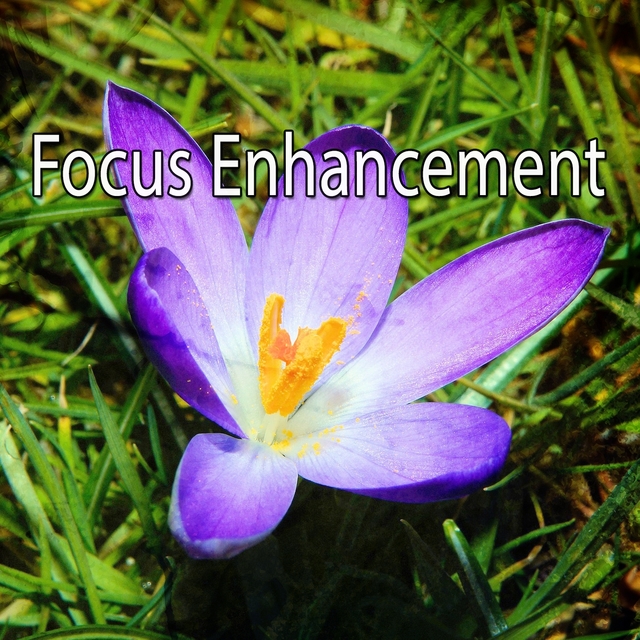 Couverture de Focus Enhancement