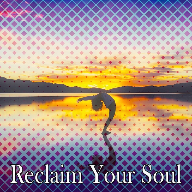 Couverture de Reclaim Your Soul