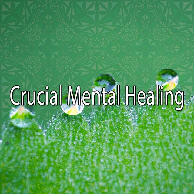 Couverture de Crucial Mental Healing