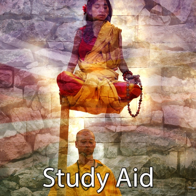 Couverture de Study Aid