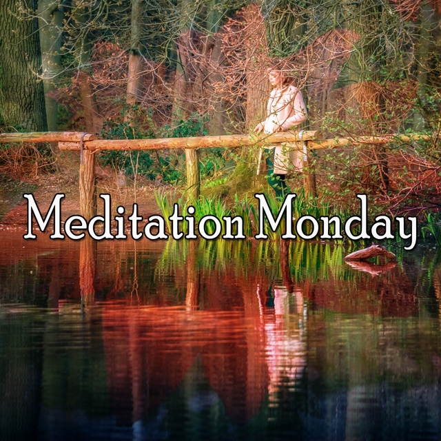 Couverture de Meditation Monday