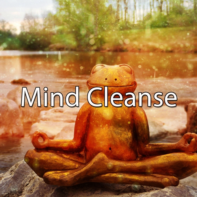 Mind Cleanse