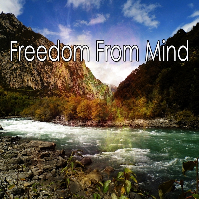 Couverture de Freedom From Mind