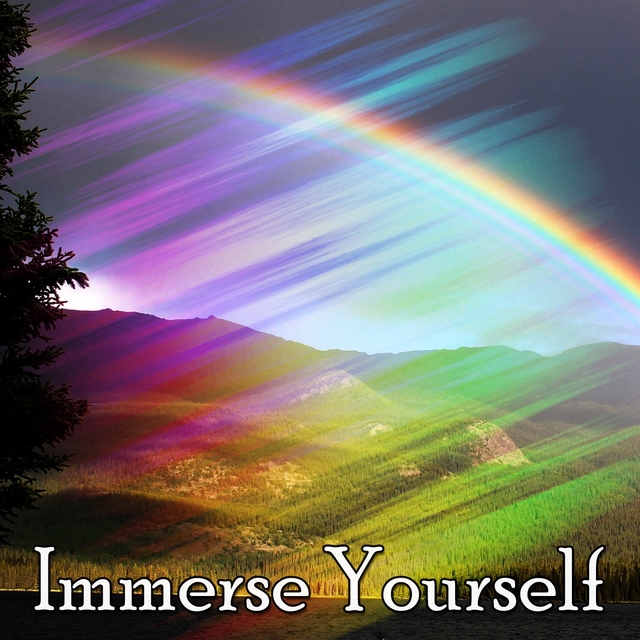 Couverture de Immerse Yourself