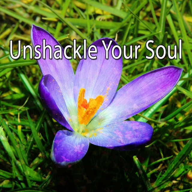 Couverture de Unshackle Your Soul