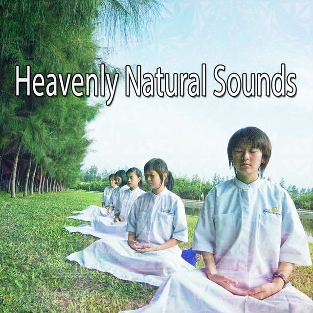 Couverture de Heavenly Natural Sounds