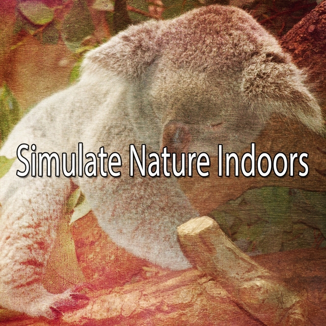 Couverture de Simulate Nature Indoors