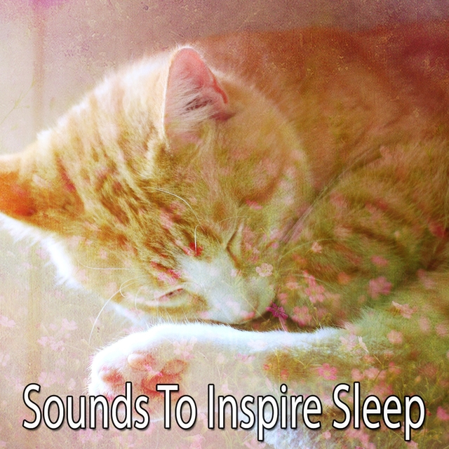 Couverture de Sounds To Inspire Sleep