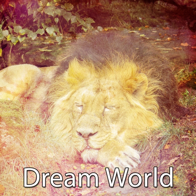 Couverture de Dream World