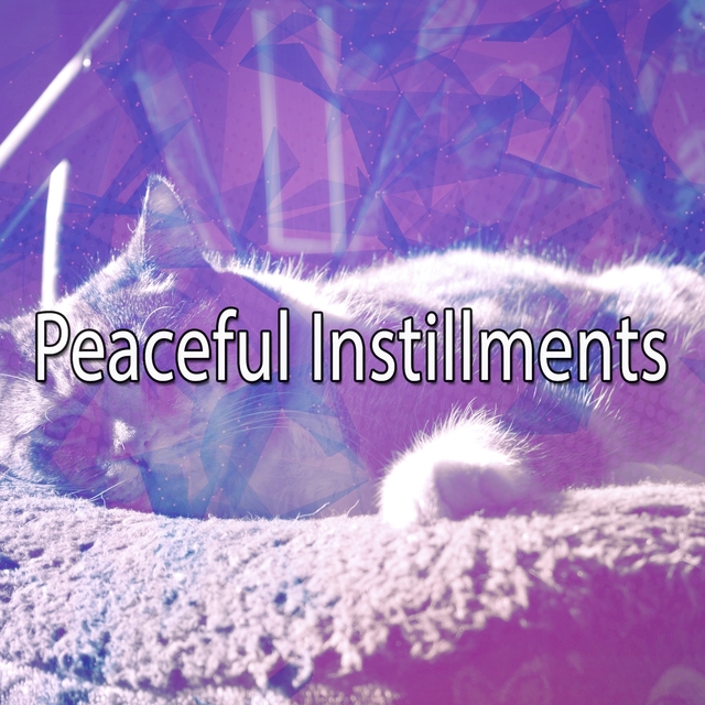 Peaceful Instillments