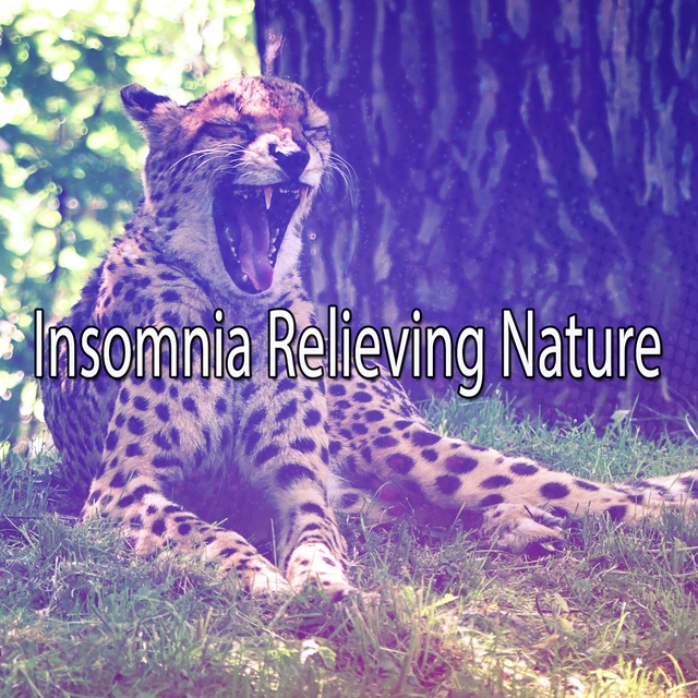 Couverture de Insomnia Relieving Nature