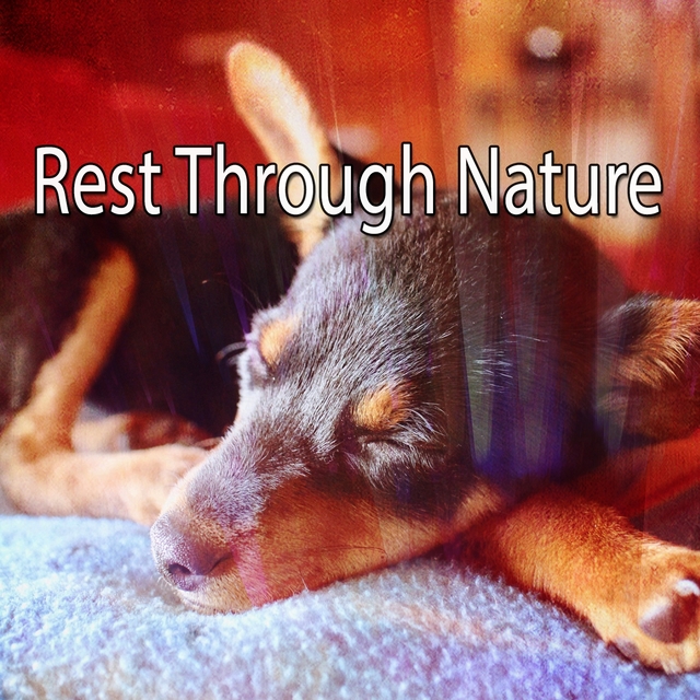 Rest Through Nature