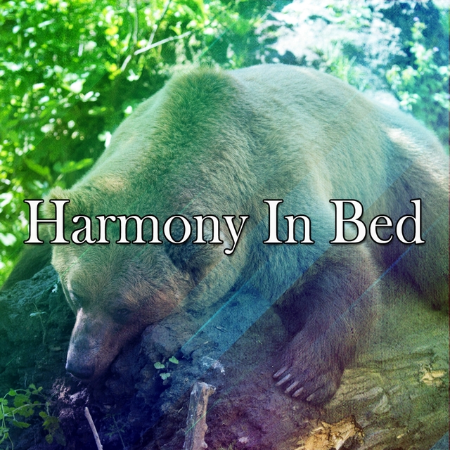 Harmony In Bed