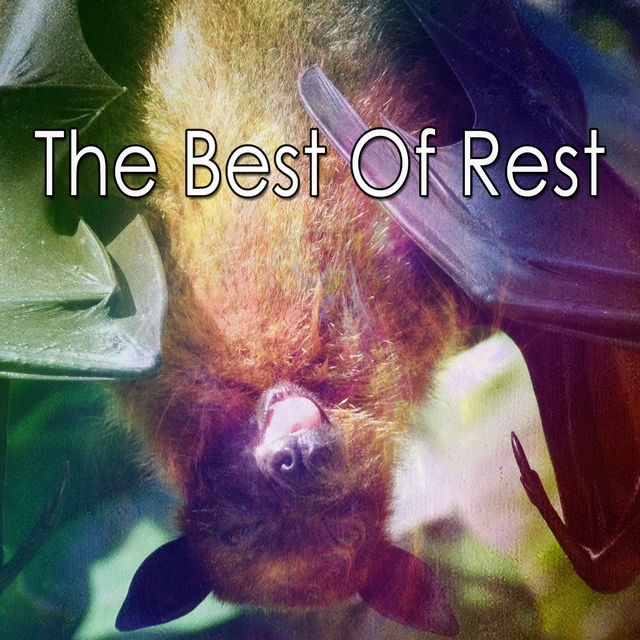 The Best Of Rest