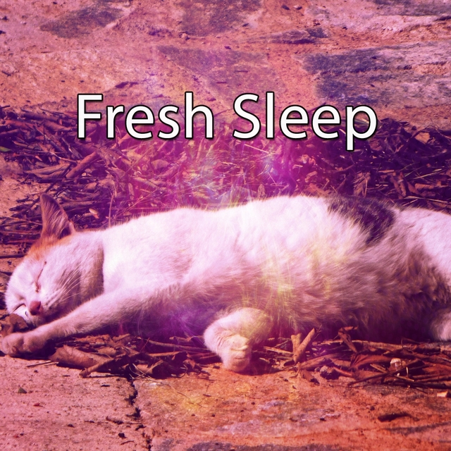Fresh Sleep