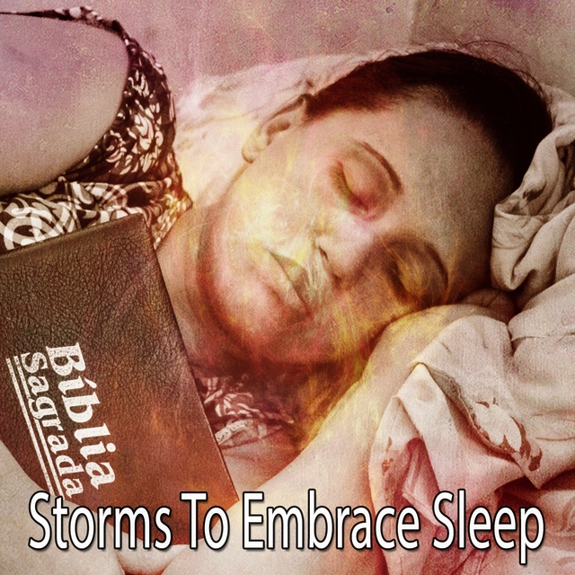 Couverture de Storms To Embrace Sleep