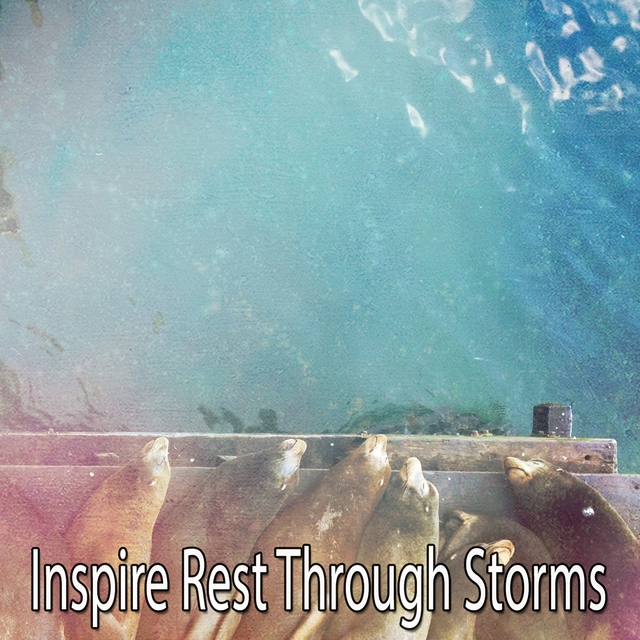 Inspire Rest Through Storms