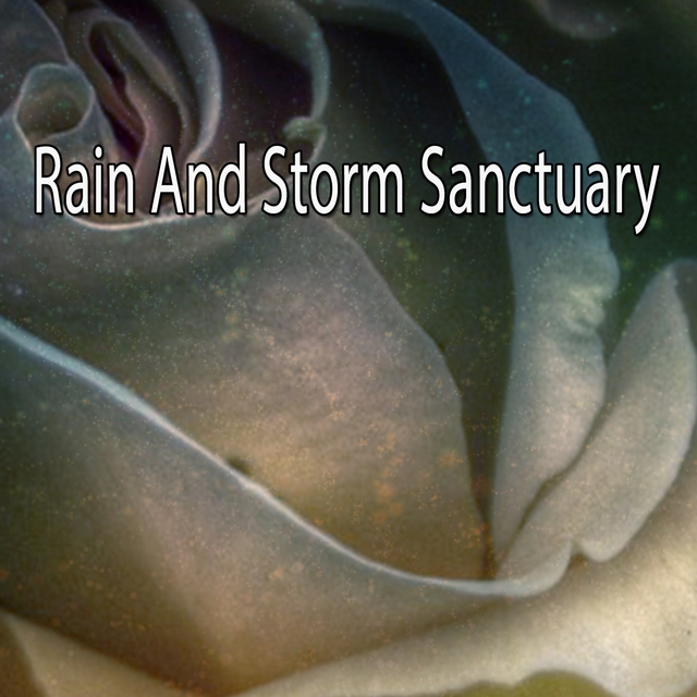 Couverture de Rain And Storm Sanctuary