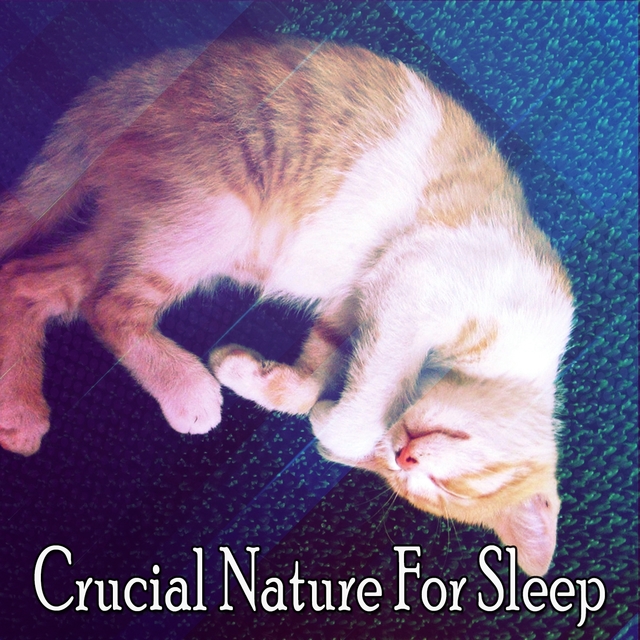 Couverture de Crucial Nature For Sleep