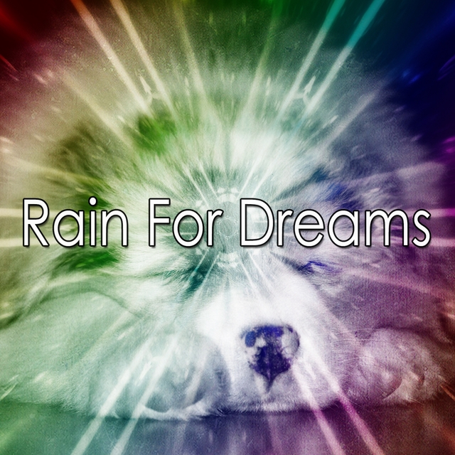 Rain For Dreams