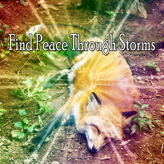 Find Peace Through Storms