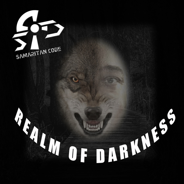 Couverture de Realm of Darkness