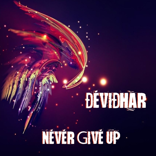 Couverture de Never Give Up