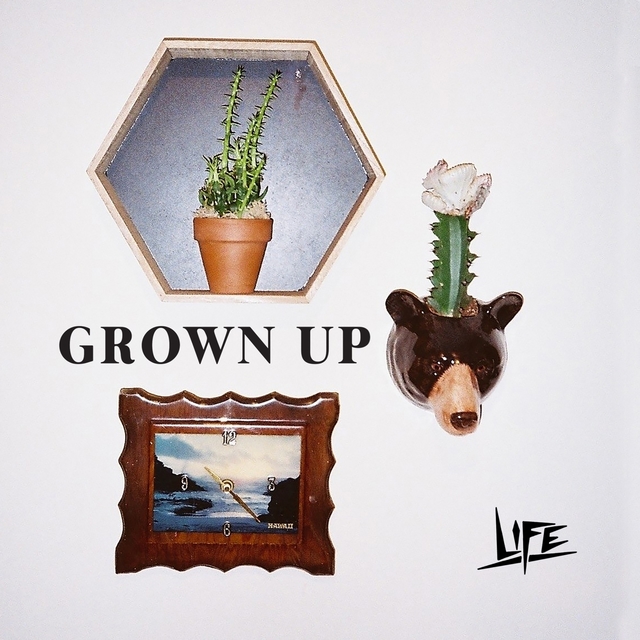 Couverture de Grown Up