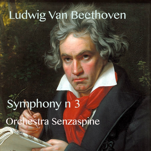 Couverture de 3rd Symphony