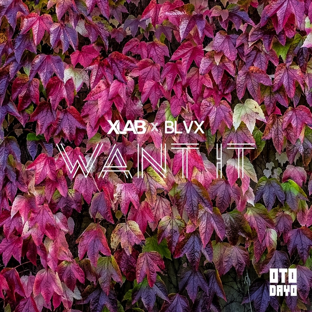 Couverture de Want It