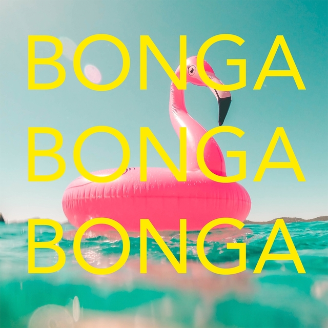 Couverture de Bonga Bonga Bonga