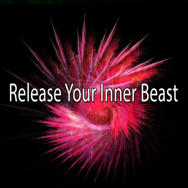 Couverture de Release Your Inner Beast