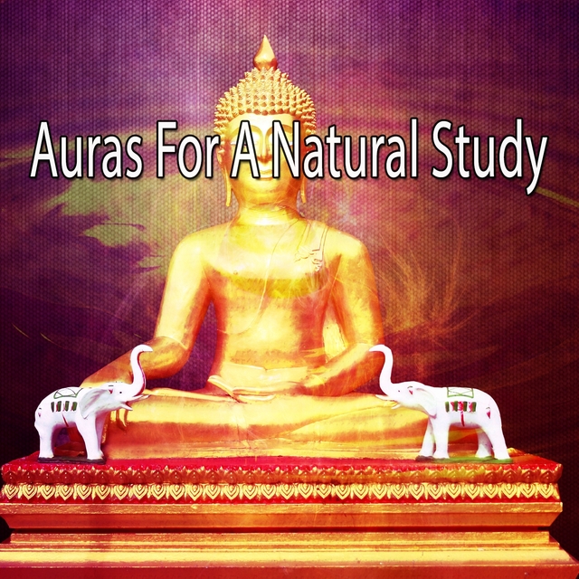 Auras For A Natural Study