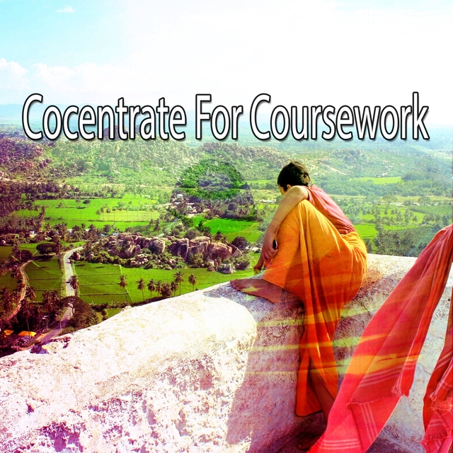 Cocentrate For Coursework