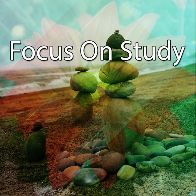 Focus On Study