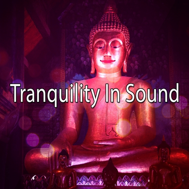 Couverture de Tranquility In Sound