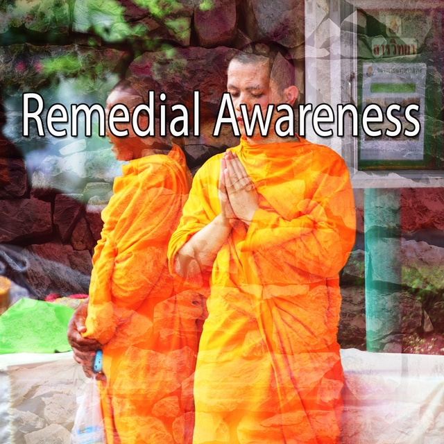 Couverture de Remedial Awareness