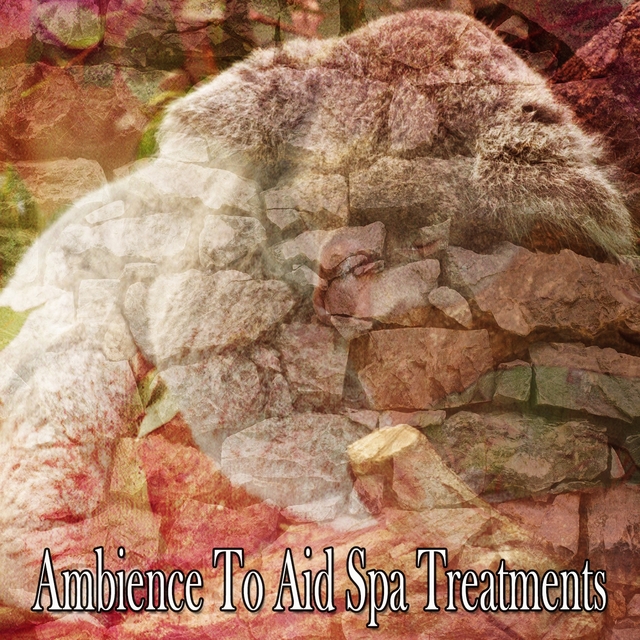 Couverture de Ambience To Aid Spa Treatments