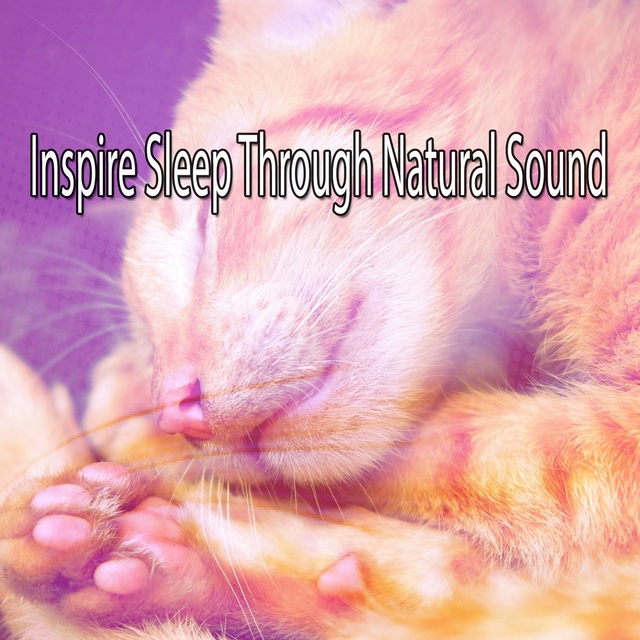 Couverture de Inspire Sleep Through Natural Sound