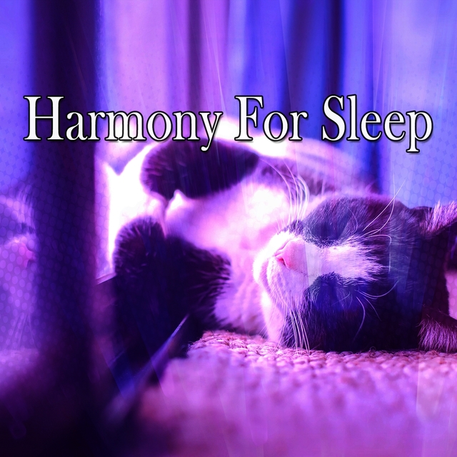 Couverture de Harmony For Sleep