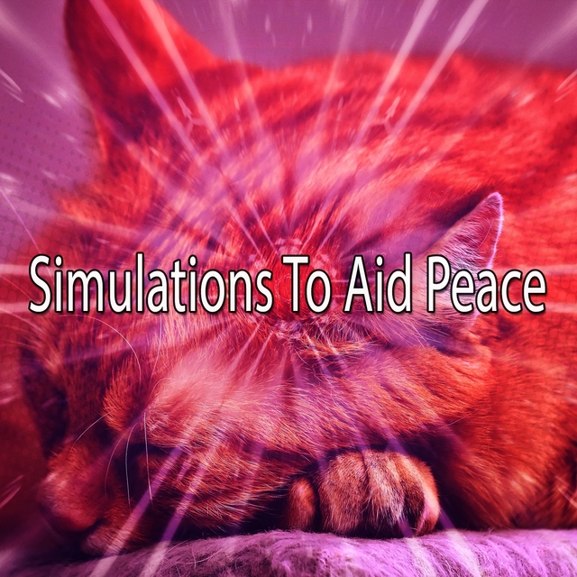 Couverture de Simulations To Aid Peace