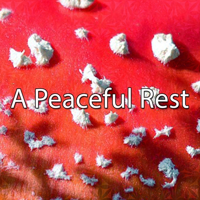 Couverture de A Peaceful Rest