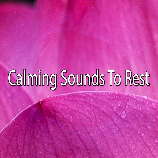 Couverture de Calming Sounds To Rest