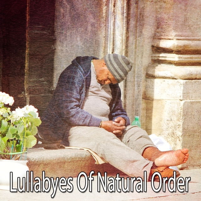 Couverture de Lullabyes Of Natural Order