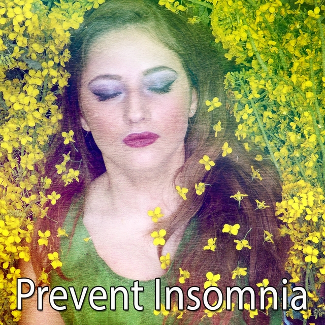 Couverture de Prevent Insomnia